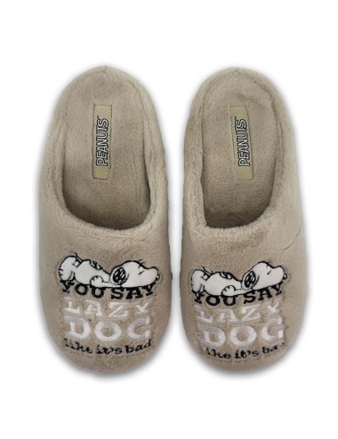 Γυναικείες παντόφλες Parex