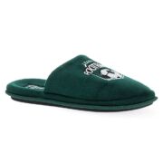 Ανδρικές παντόφλες Parex 10132013P